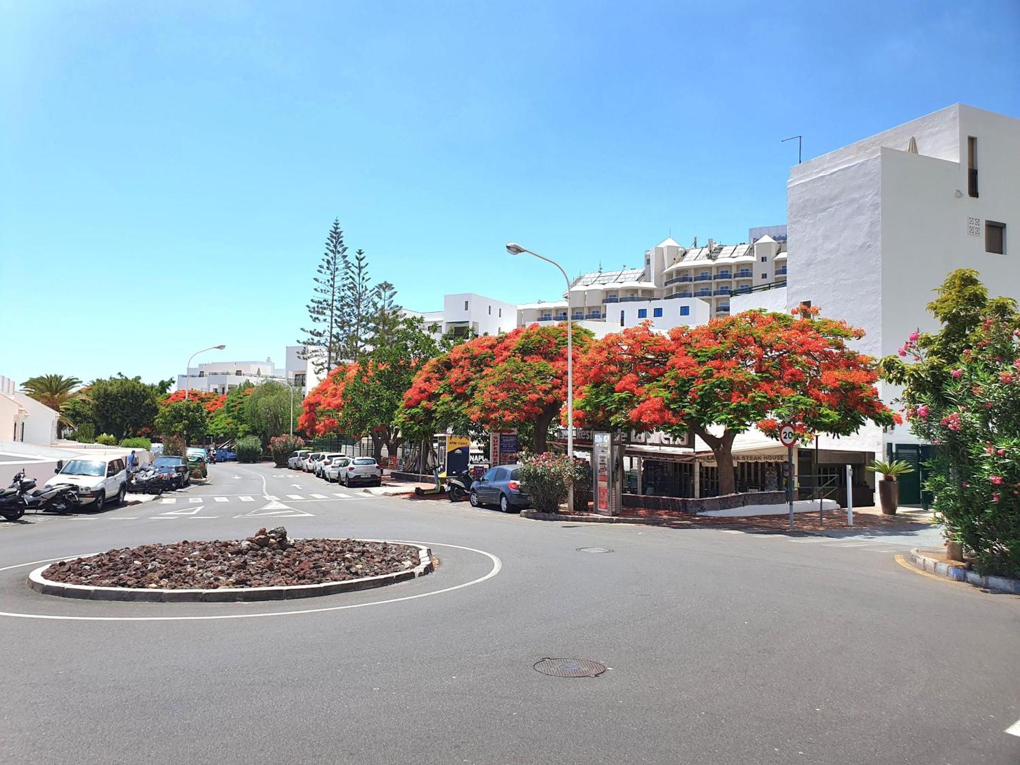 Apartment Orlando Sea Costa Adeje (Tenerife)