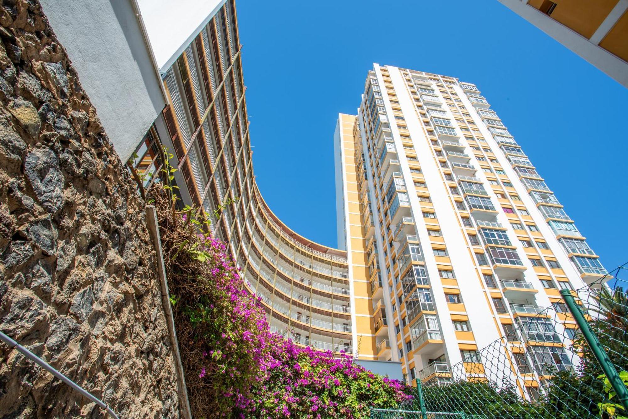 Estudio Bel Air Puerto de la Cruz (Tenerife)