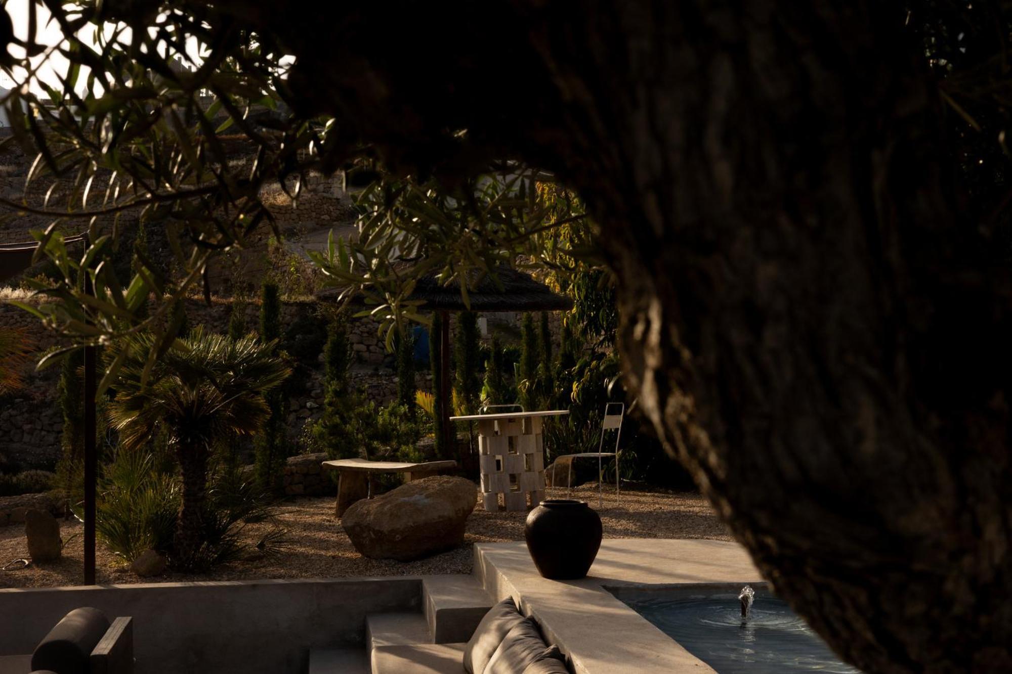 Ecohotel El Agua * Arico el Nuevo