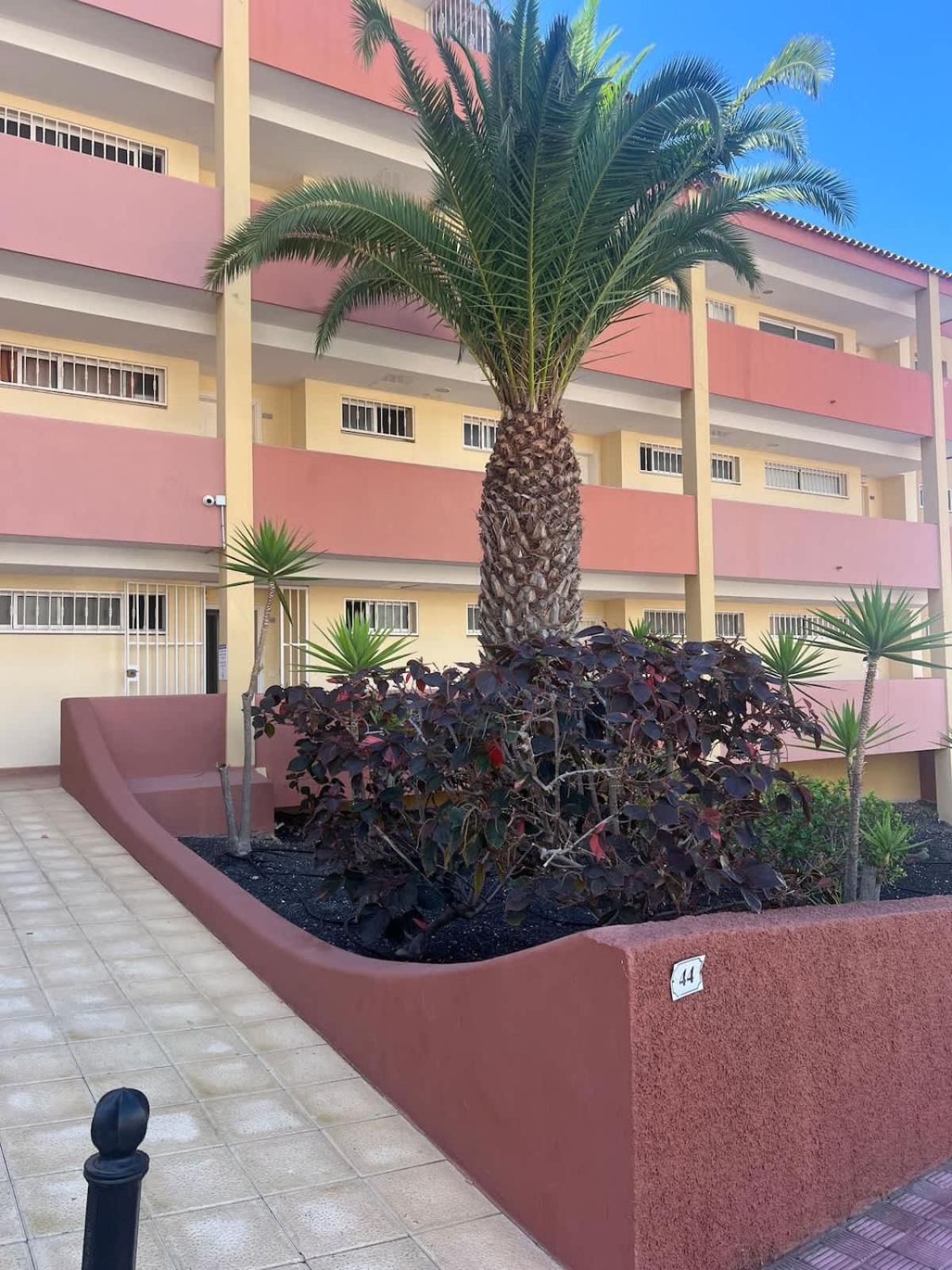 Roque Del Conde Sunsets Appartement