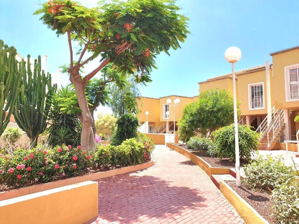 Orlando Luxury * Costa Adeje (Tenerife)