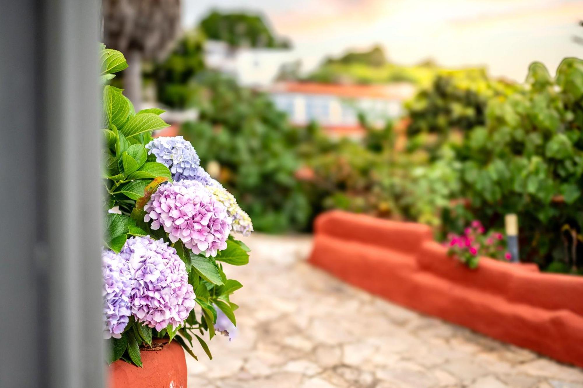 Holiday home La Chamusca Icod De Los Vinos