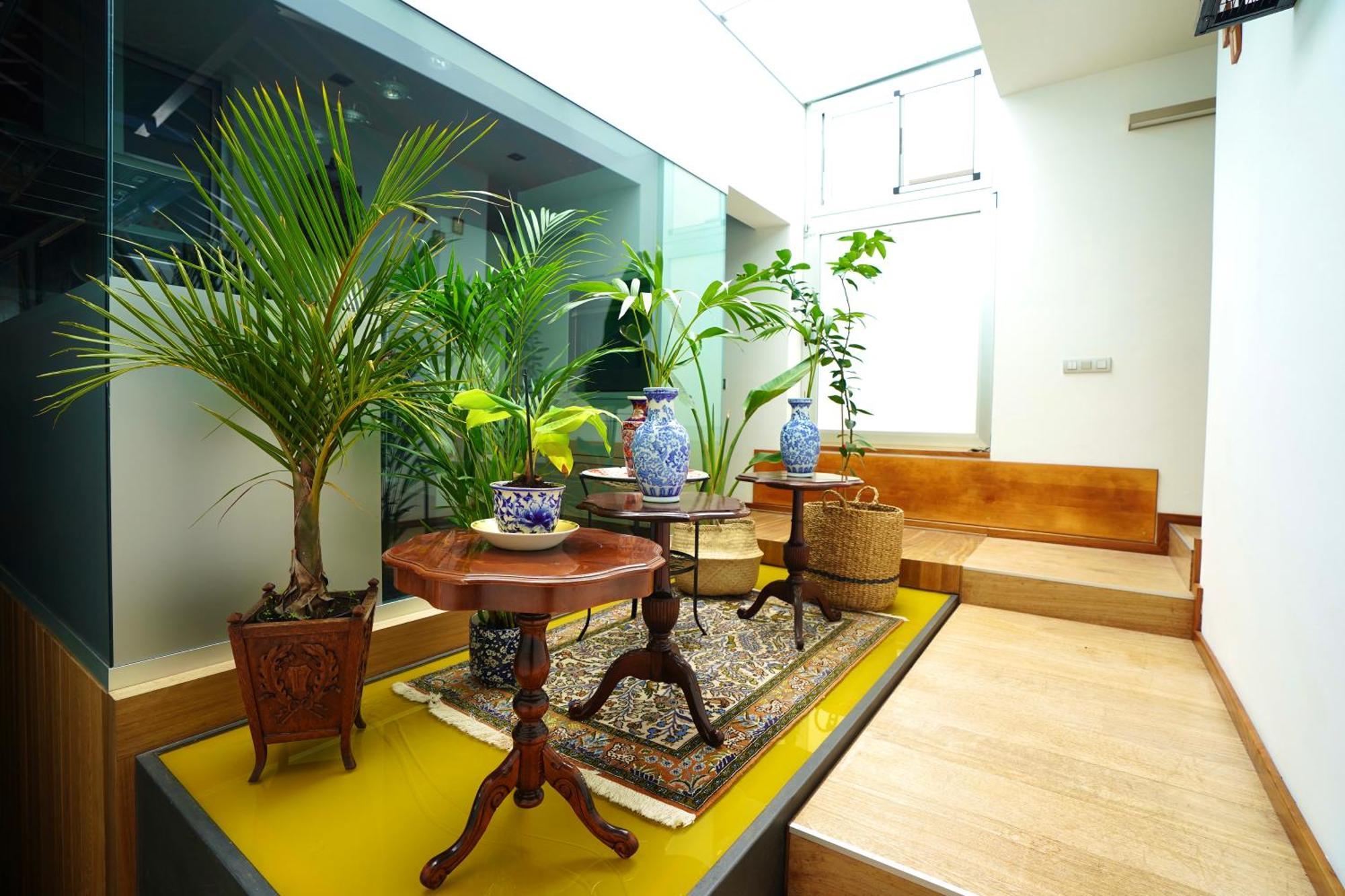 Modern Luxury Canarian House Garachico (Tenerife)