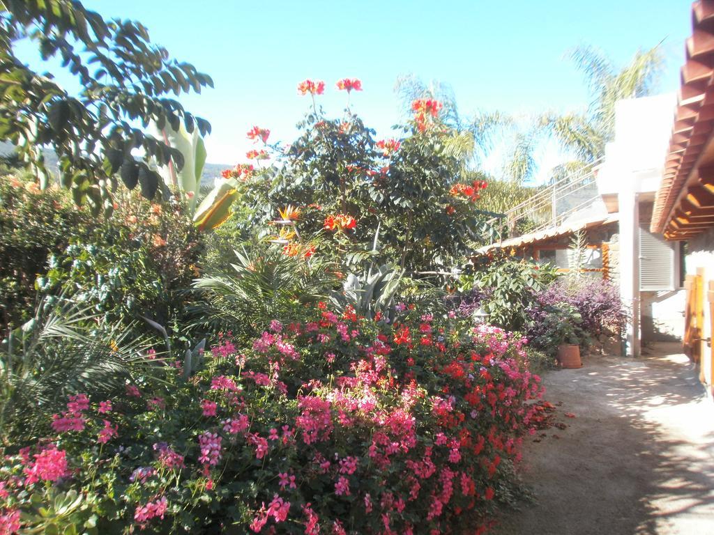 Palmeras Hébergement de vacances
