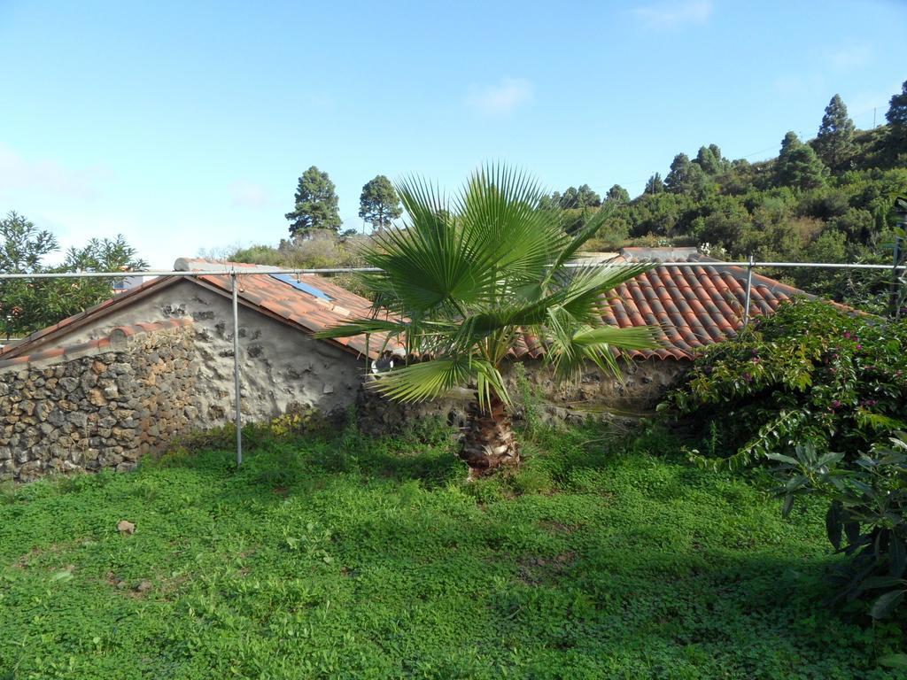 Hébergement de vacances Cueva Del Viento Icod De Los Vinos
