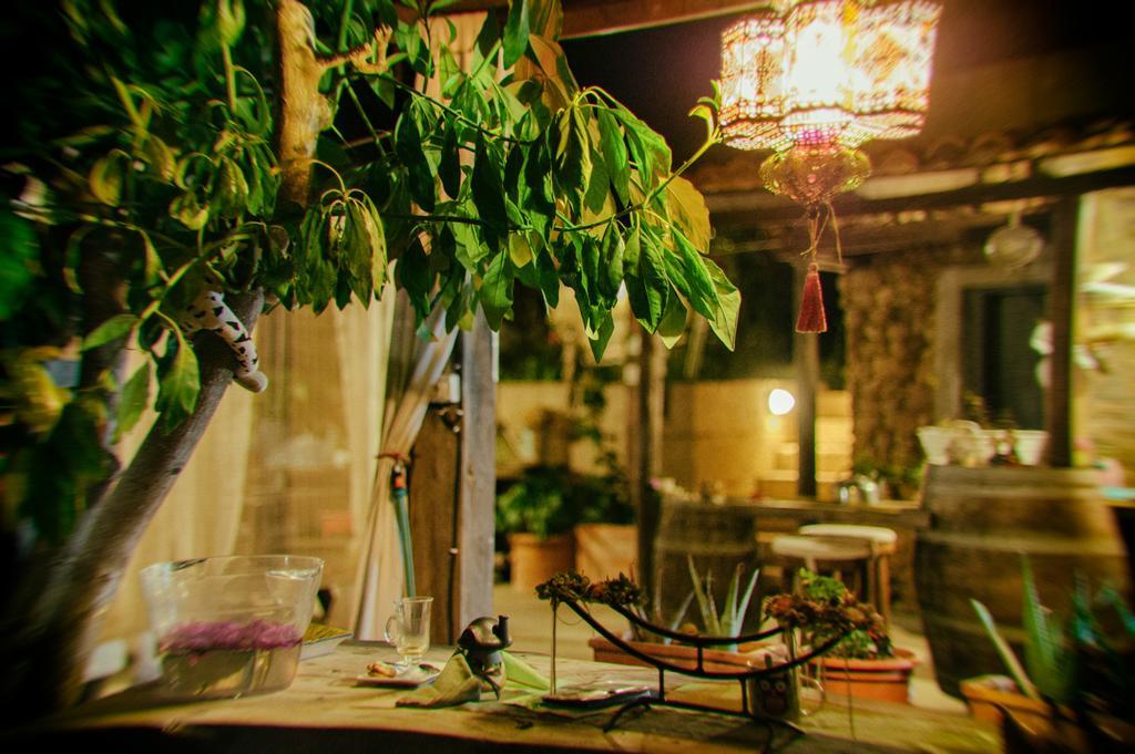 Casas Alberto Teleworking (adults Only) San Miguel de Abona