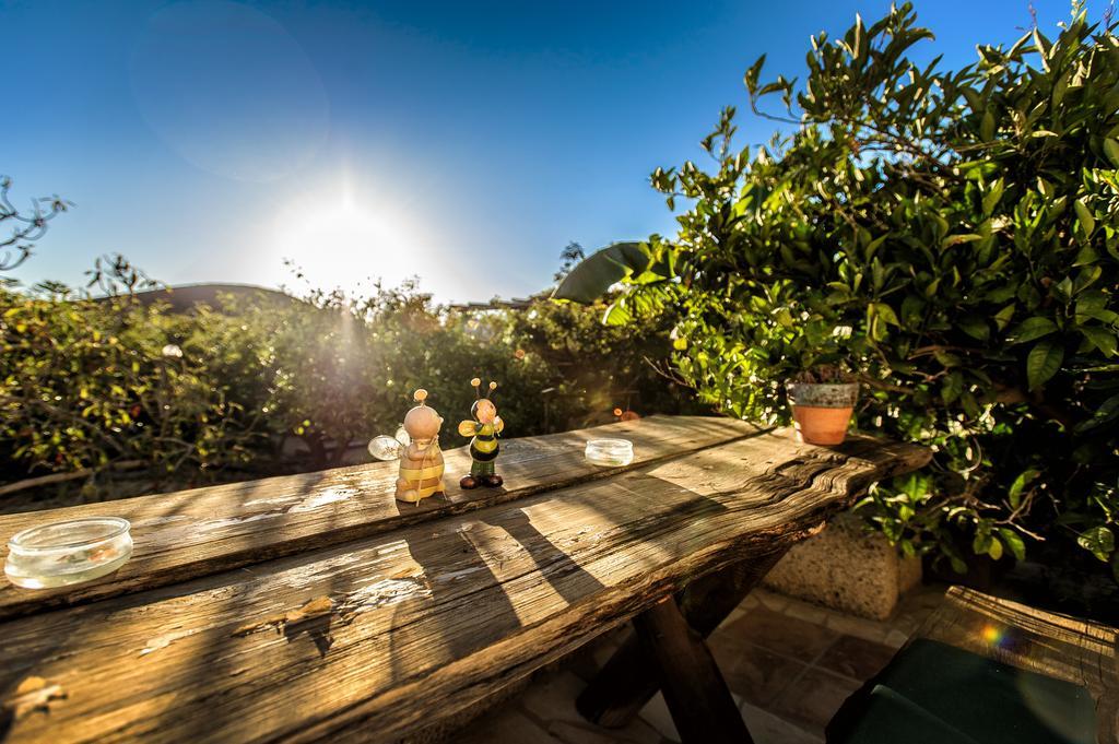 Country house Casas Alberto Teleworking (adults Only) San Miguel de Abona
