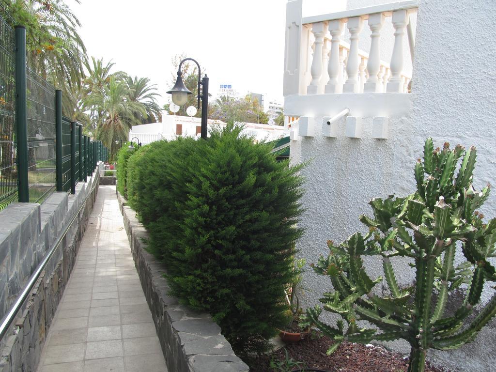 Apartment Virginia Playa de las Americas (Tenerife)