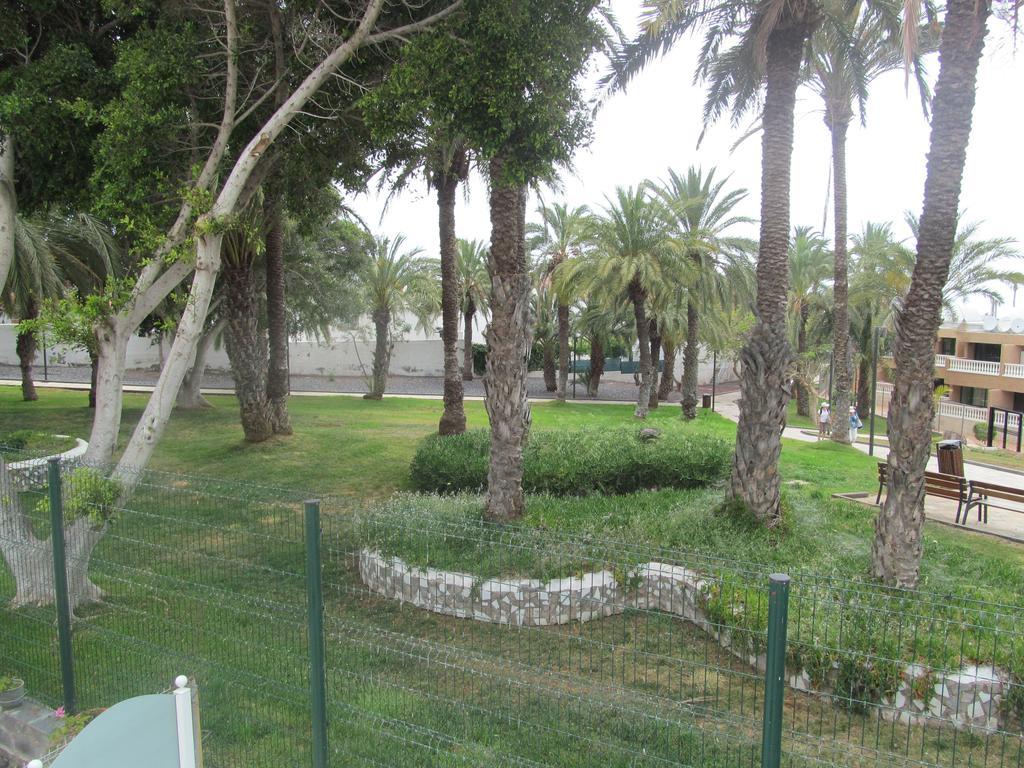 Virginia Apartment Playa de las Americas (Tenerife)