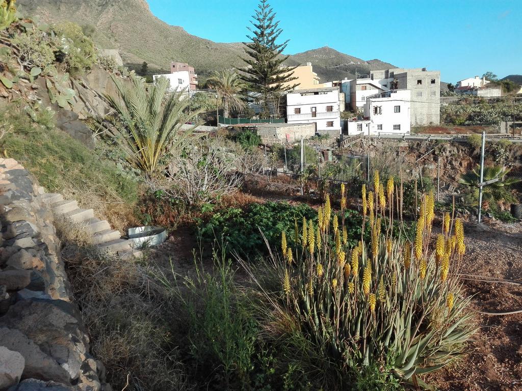 Patio Canario Apartment Arona (Tenerife)