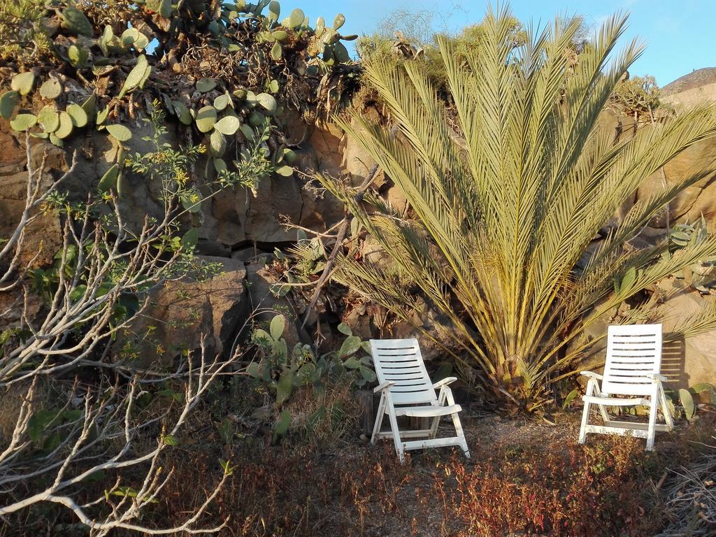 Patio Canario