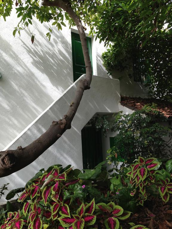 Apartment El Rincon *