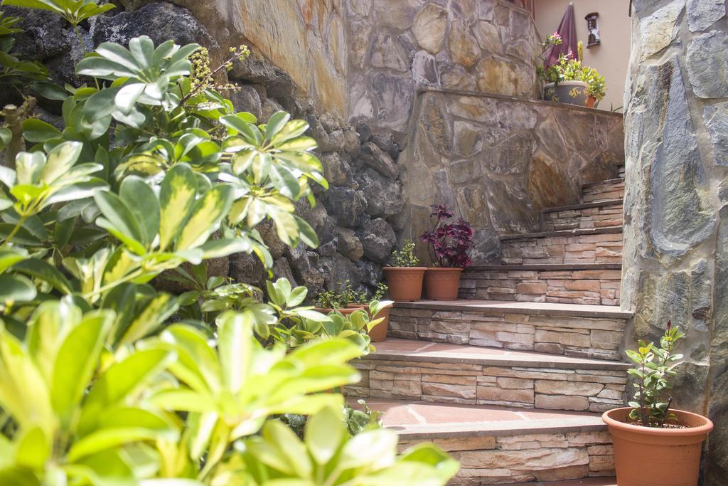 Aptos Playa Moreno. Apartamento