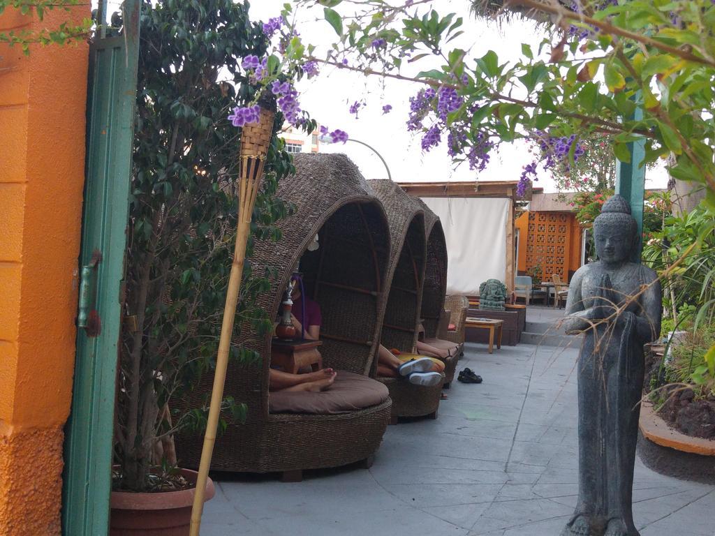 Appartement The Happiness Penthouse Dream Holiday At 100m Beach Candelaria