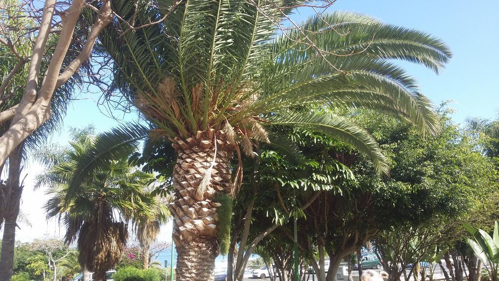 Apartamento Penthouse Gigantes Puerto de Santiago (Tenerife)