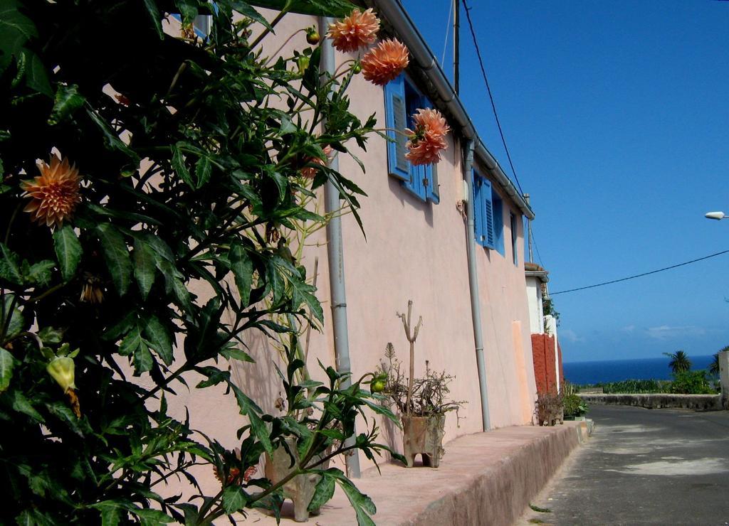 Holiday home Casa Coronela *