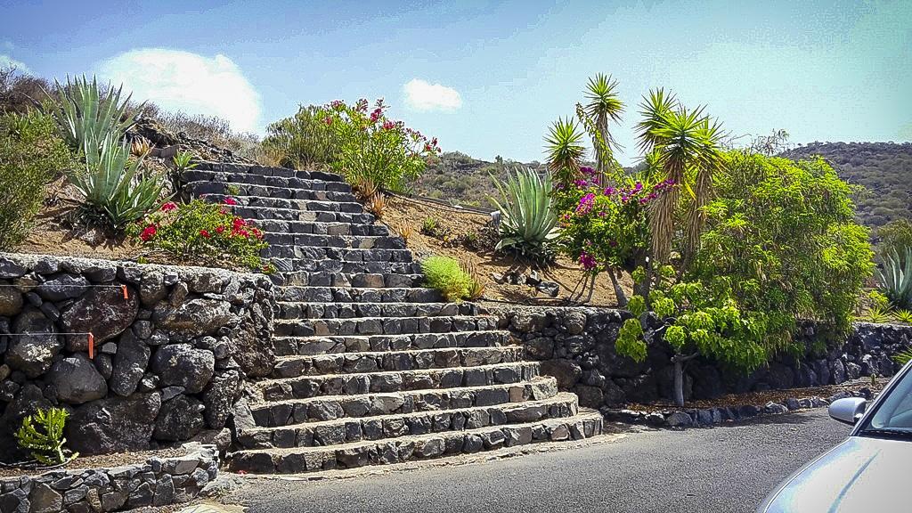 Finca Rosa *