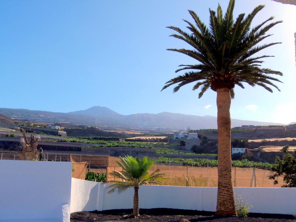Finca La Hoya Holiday home Alcala (Tenerife)