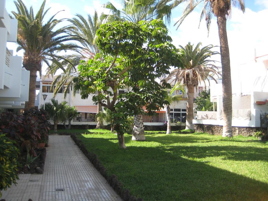 Elana With Free Wifi Appartement Costa Del Silencio