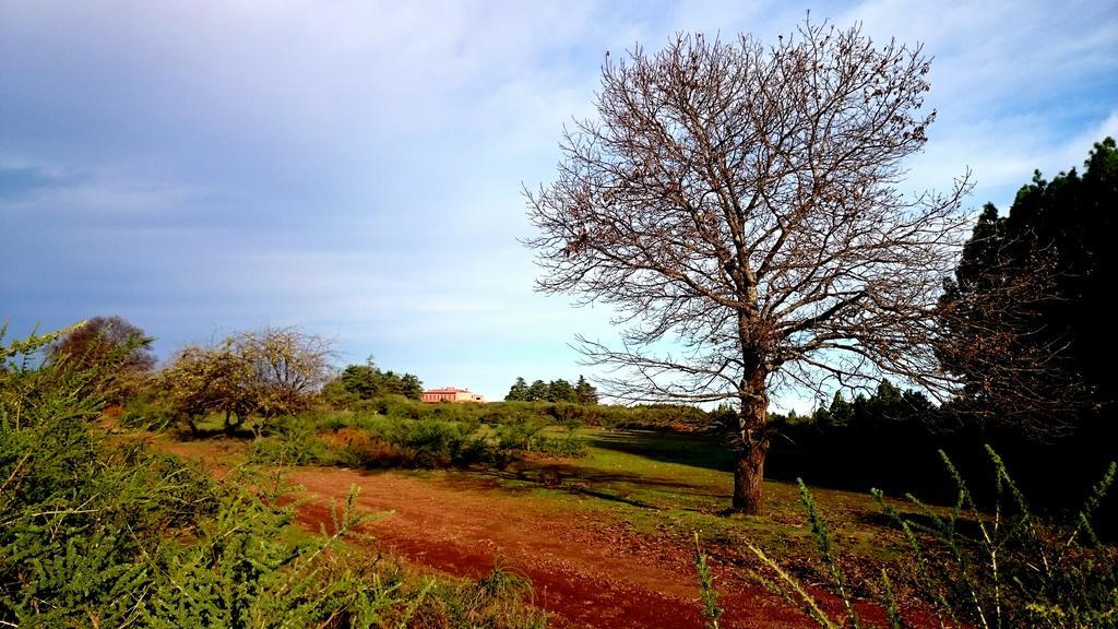 Finca Don Leandro * El Rosario (Tenerife)