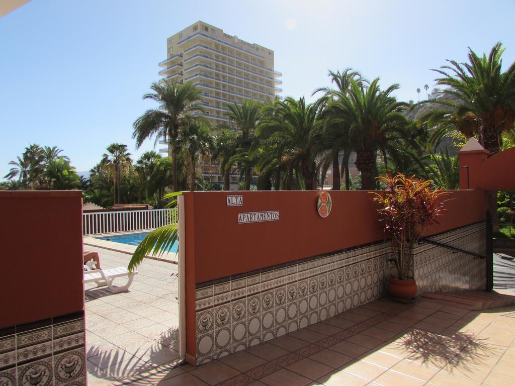 Alta Puerto de la Cruz (Tenerife)