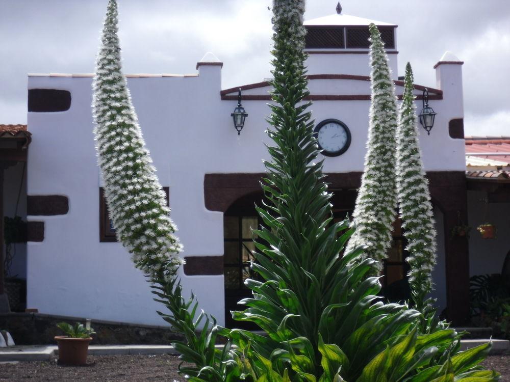 Appartement El Picacho In The Countryside 2 Km From The