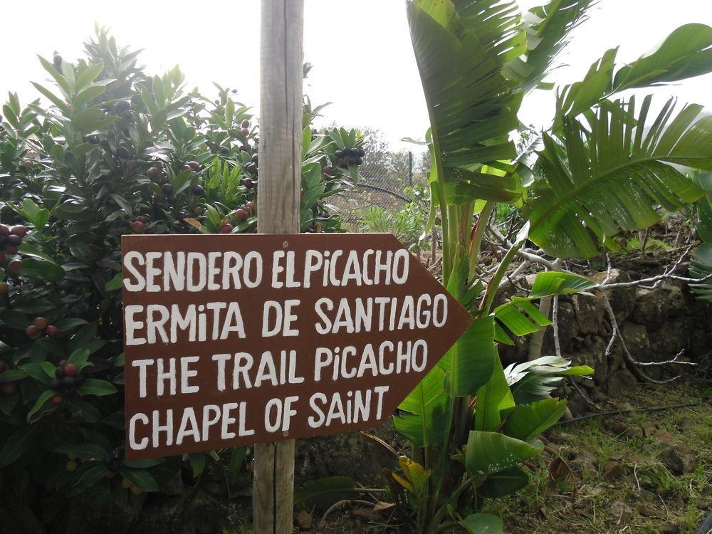 El Picacho In The Countryside 2 Km From The Appartement *