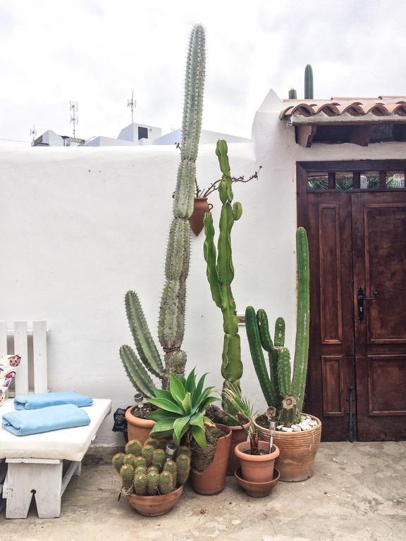 Casa Antonia Icod De Los Vinos