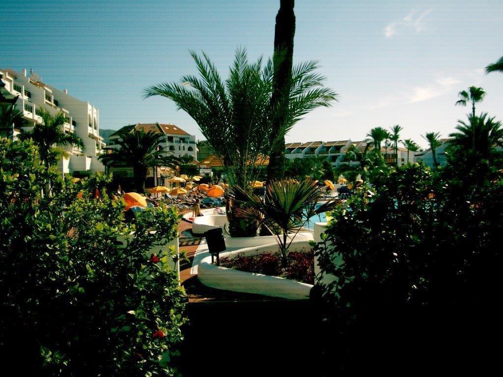 In The Golden Mile Tenerife * Playa de las Américas