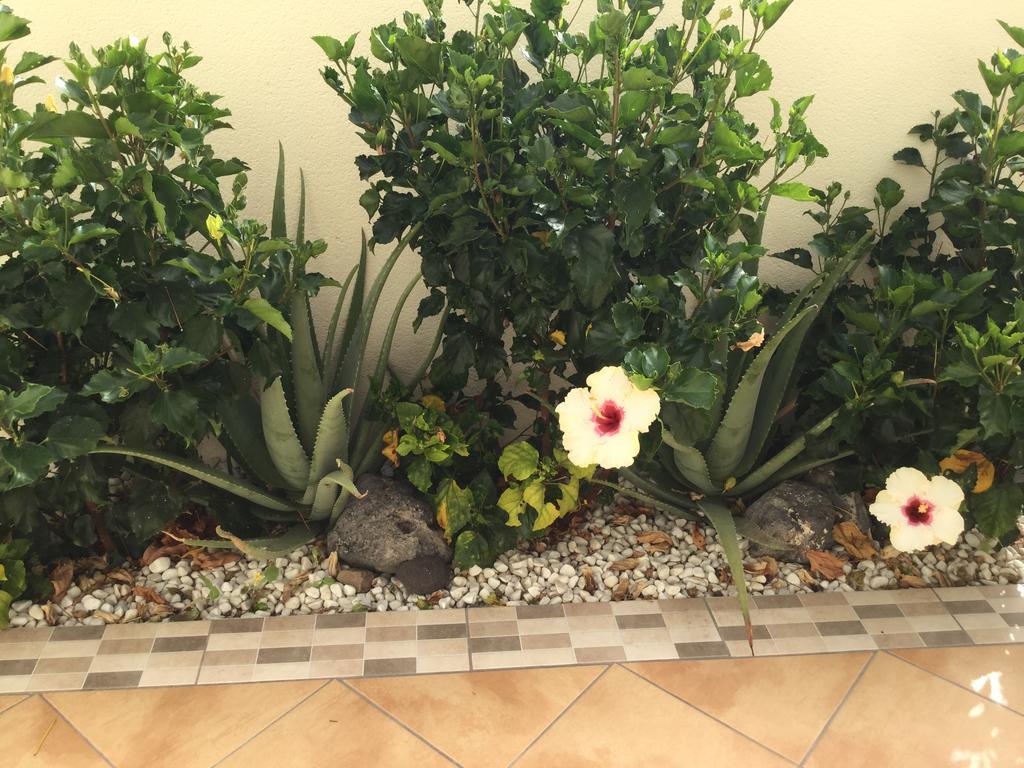 Residencial Geranios 13 *