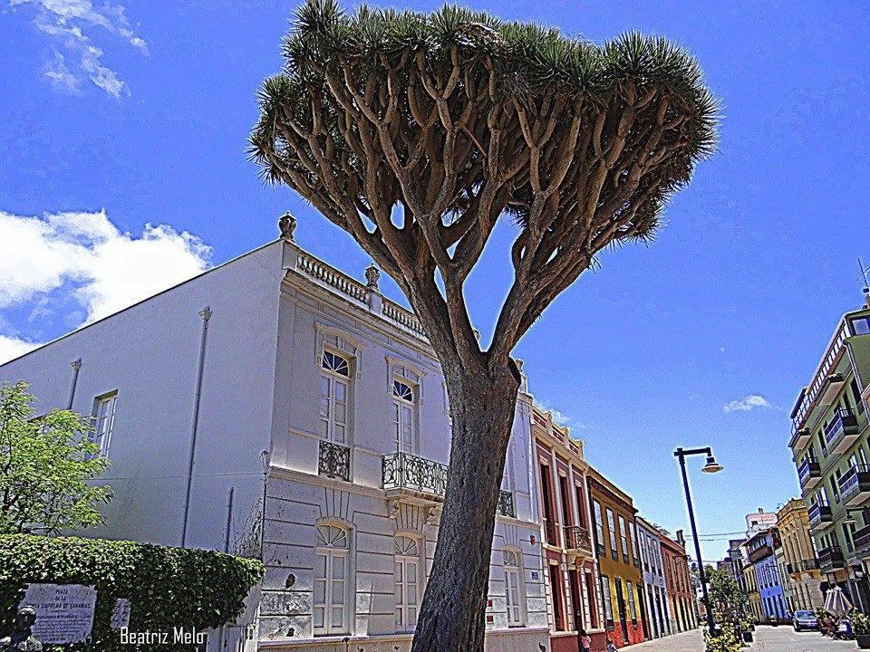 Ossuna Appartement La Laguna (Tenerife)