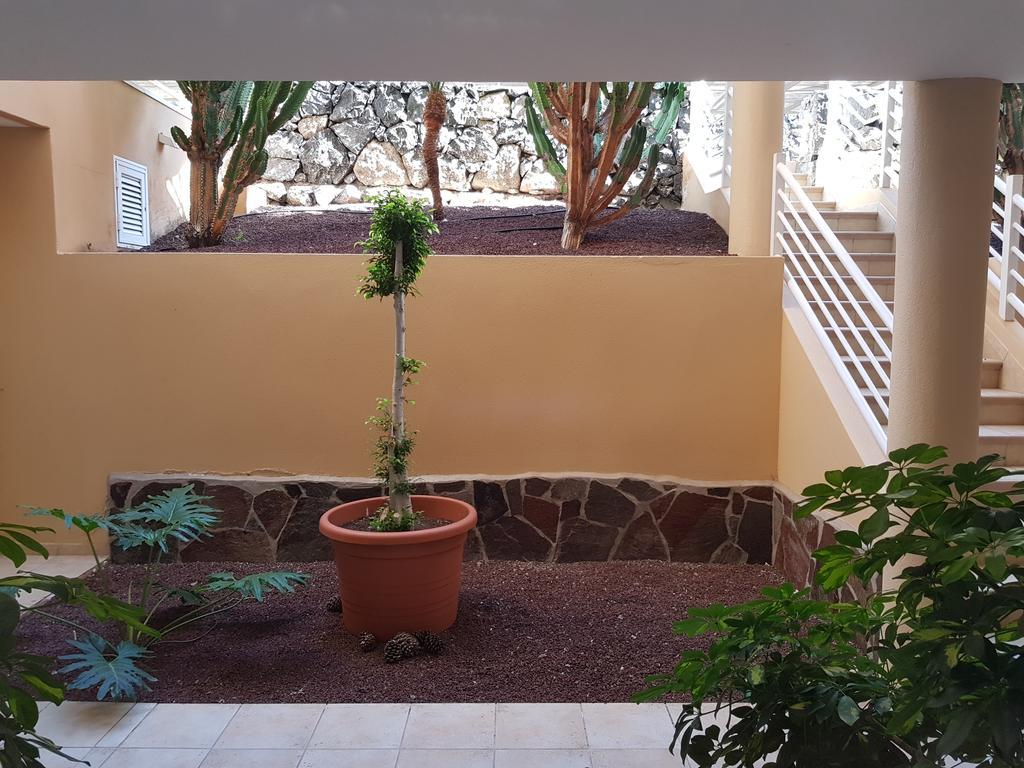 Apartamento Oasis La Caleta