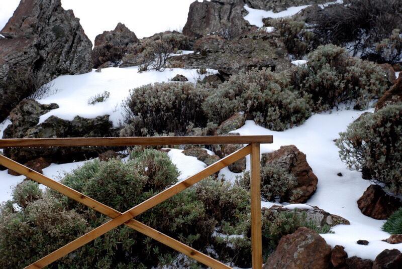 Casa Siete Canadas * Las Canadas del Teide