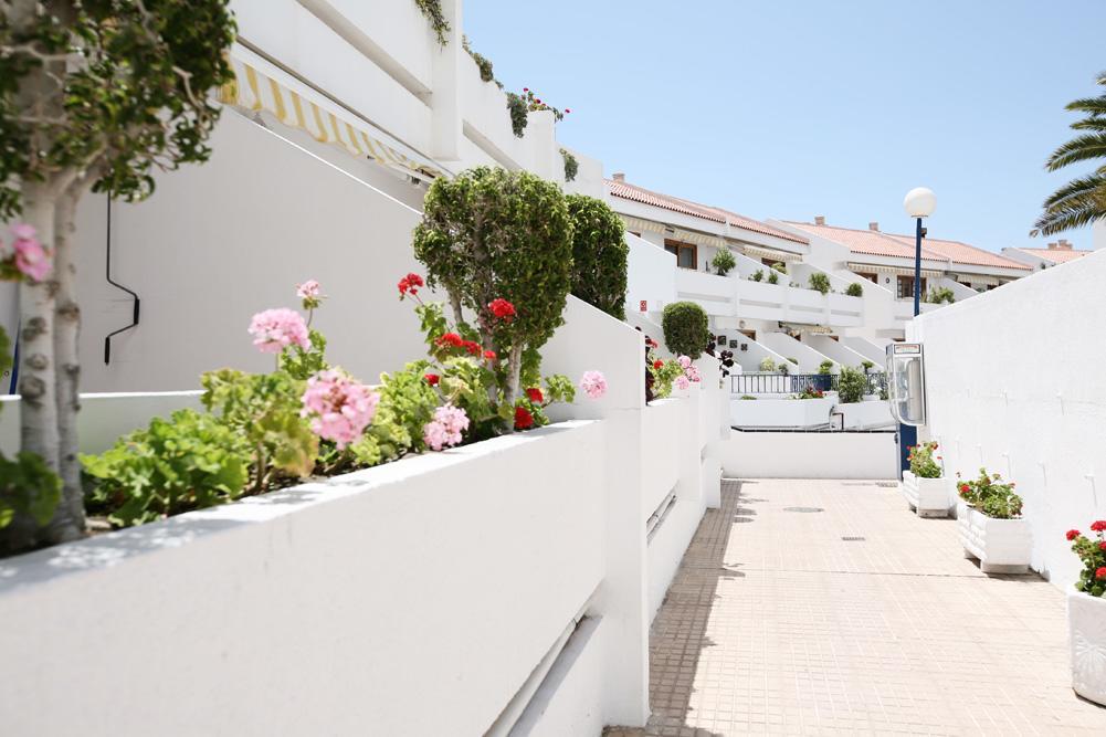 Club Olympus In Garden Apartment Playa de las Americas (Tenerife)