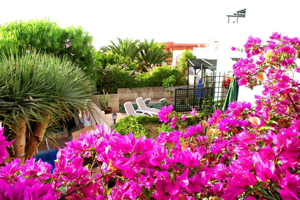 Casa San Miguel San Miguel de Abona
