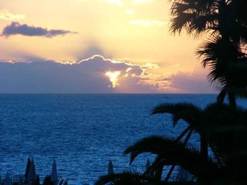 Flores Hotel 4*