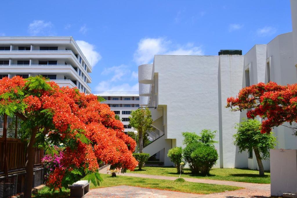 Aparthotel Optimist Tenerife