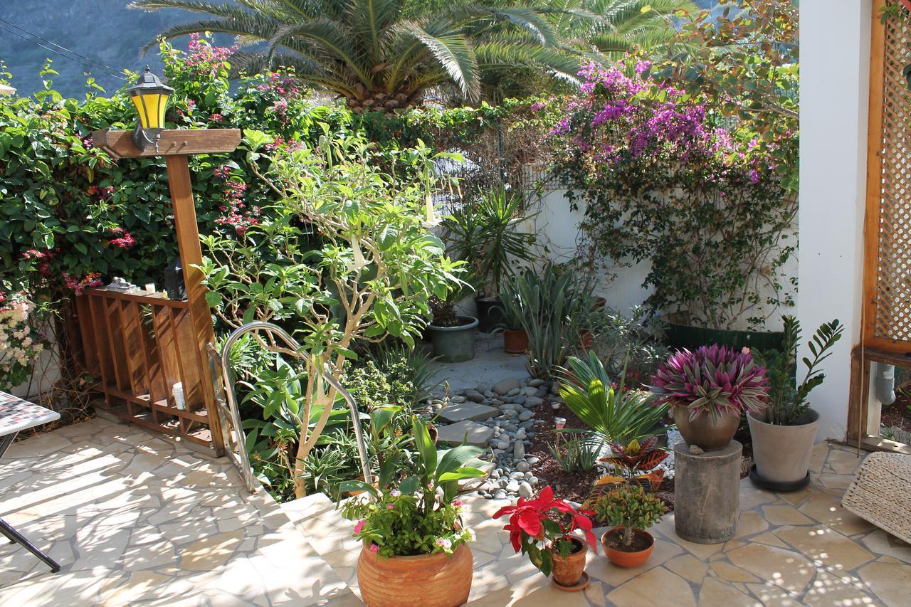 Apartment Casa Aguita *