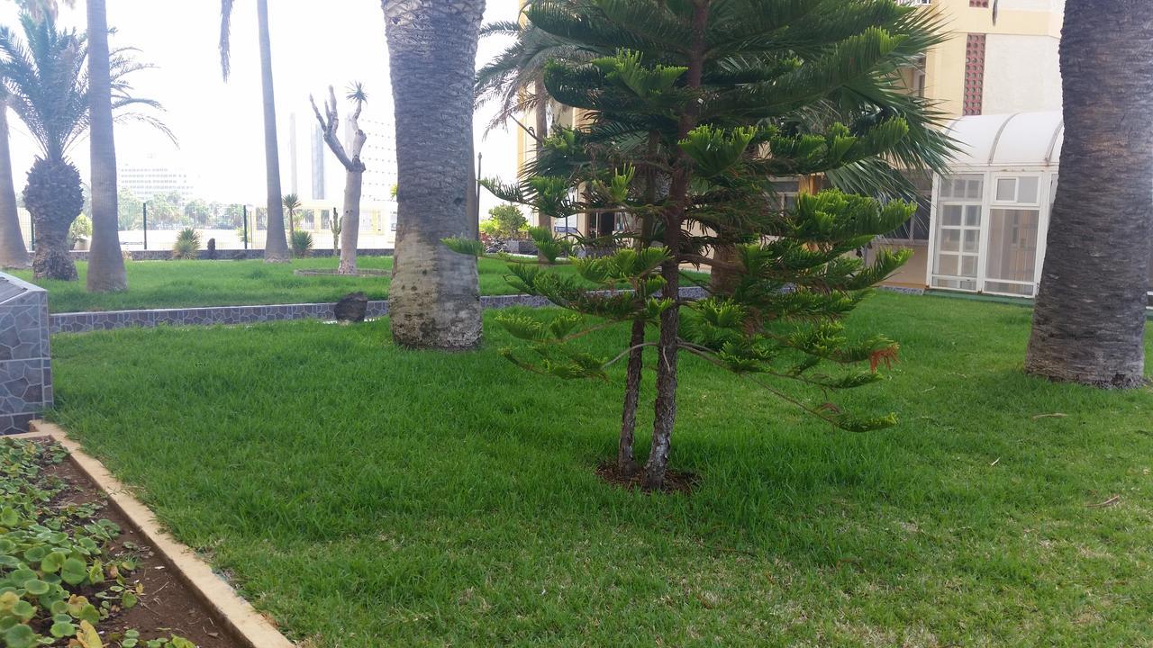 Ocean View In Center Of Las Americas * Playa de las Americas (Tenerife)