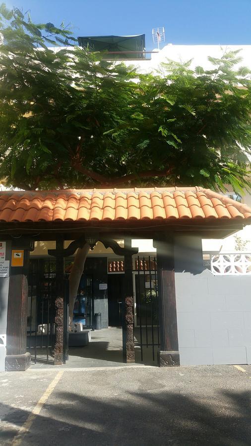 Edificio Marina Palace Costa Adeje (Tenerife)