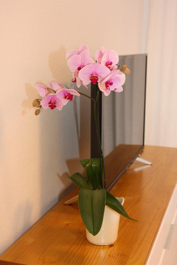 Beautiful In Apartamerica, Americas La140 *