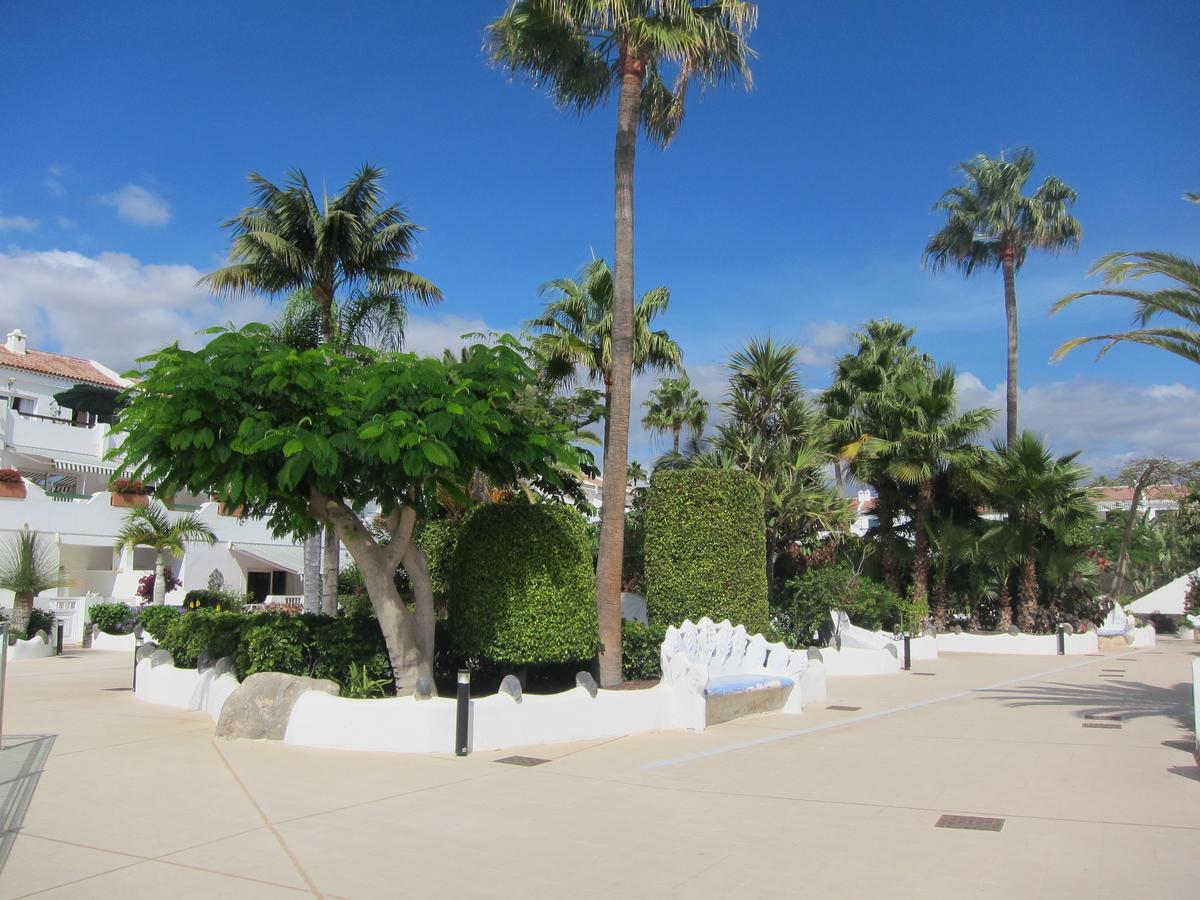 Mi Casa Es Tu Casa En Tenerife *