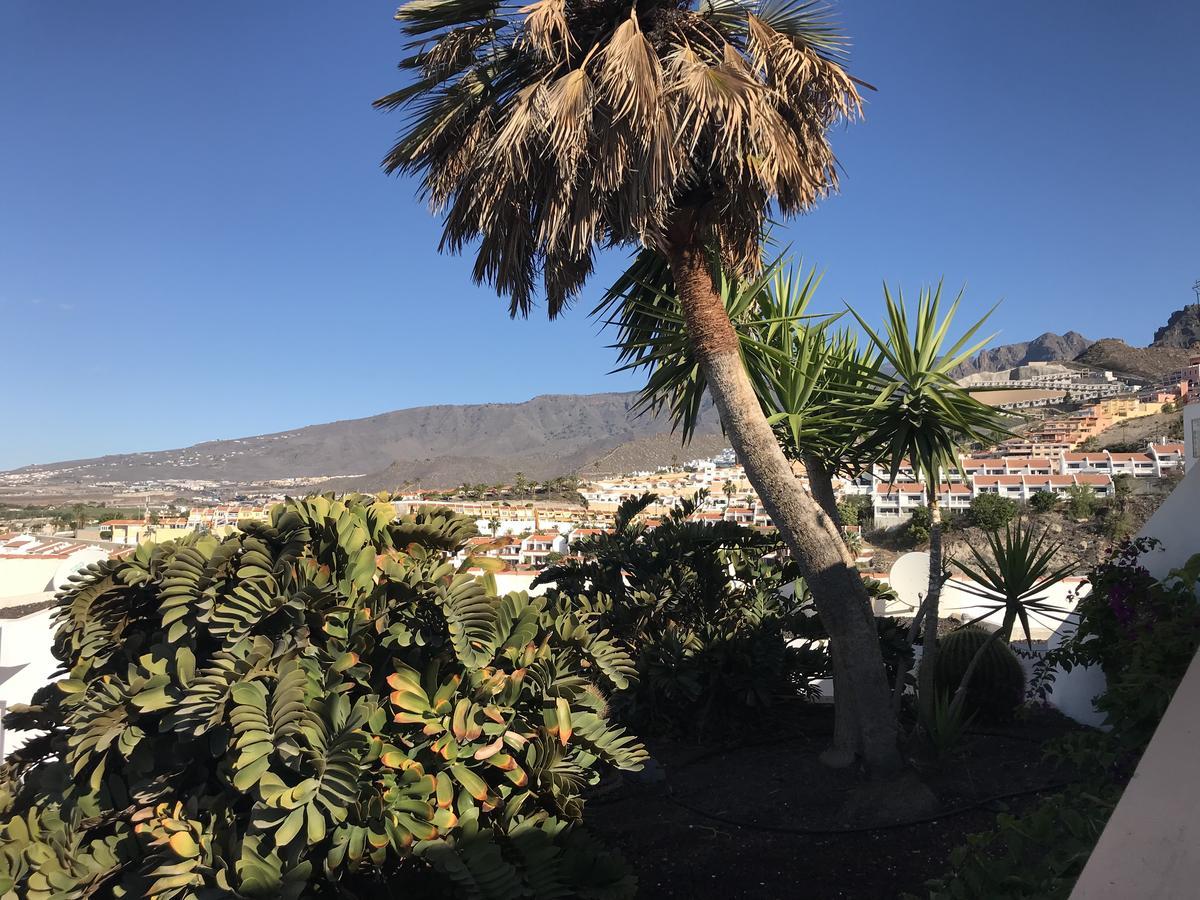 Island Village * Costa Adeje (Tenerife)