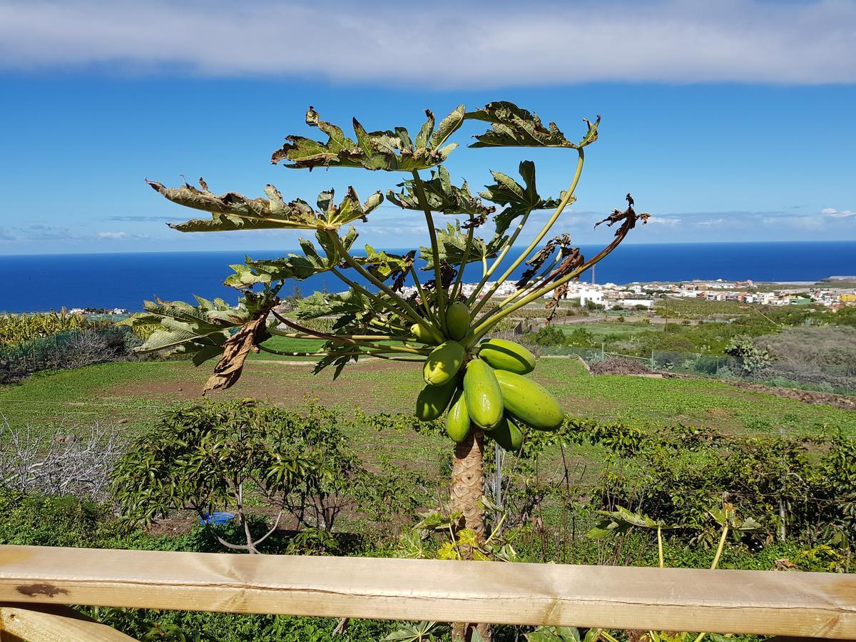 Séjour à la campagne Casa De Piedra Las Herreritas Buenavista Del Norte