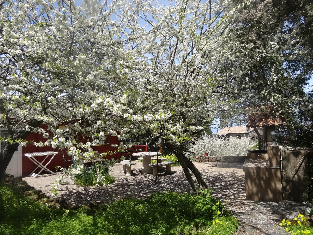 Country house La Gustoza
