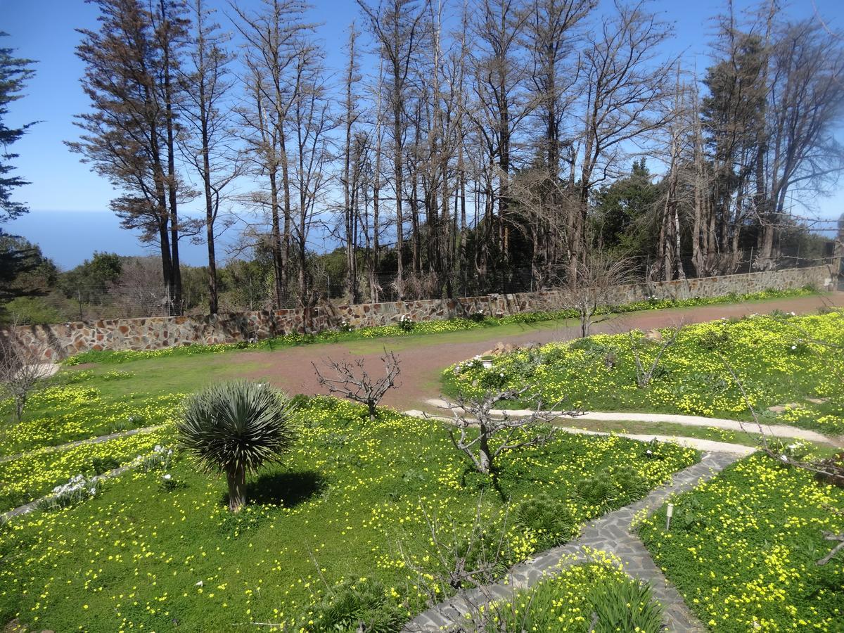 La Gustoza Country house Sauzal