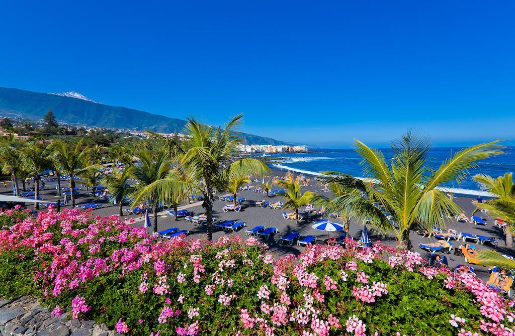 Maga * Puerto de la Cruz (Tenerife)