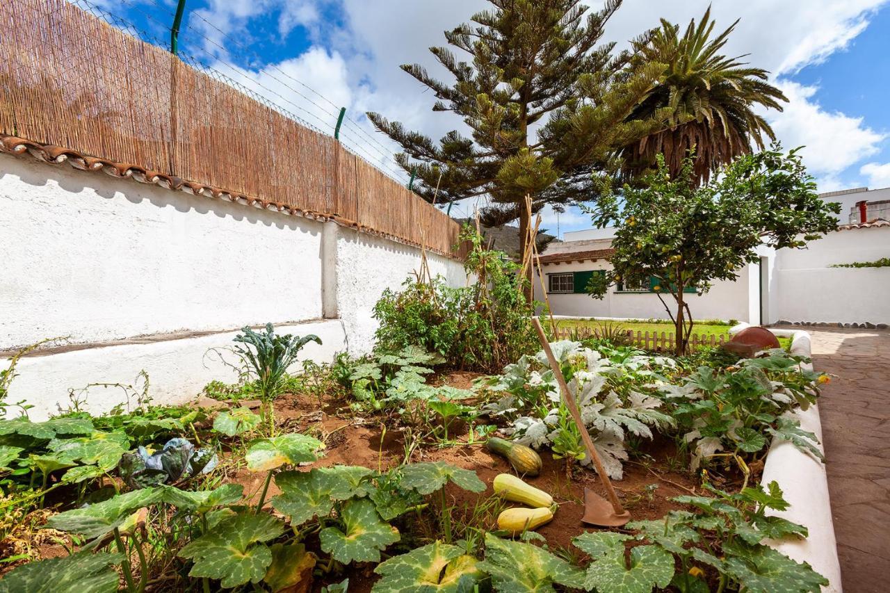 Auberge de jeunesse Patio (adults Only) La Laguna (Tenerife)