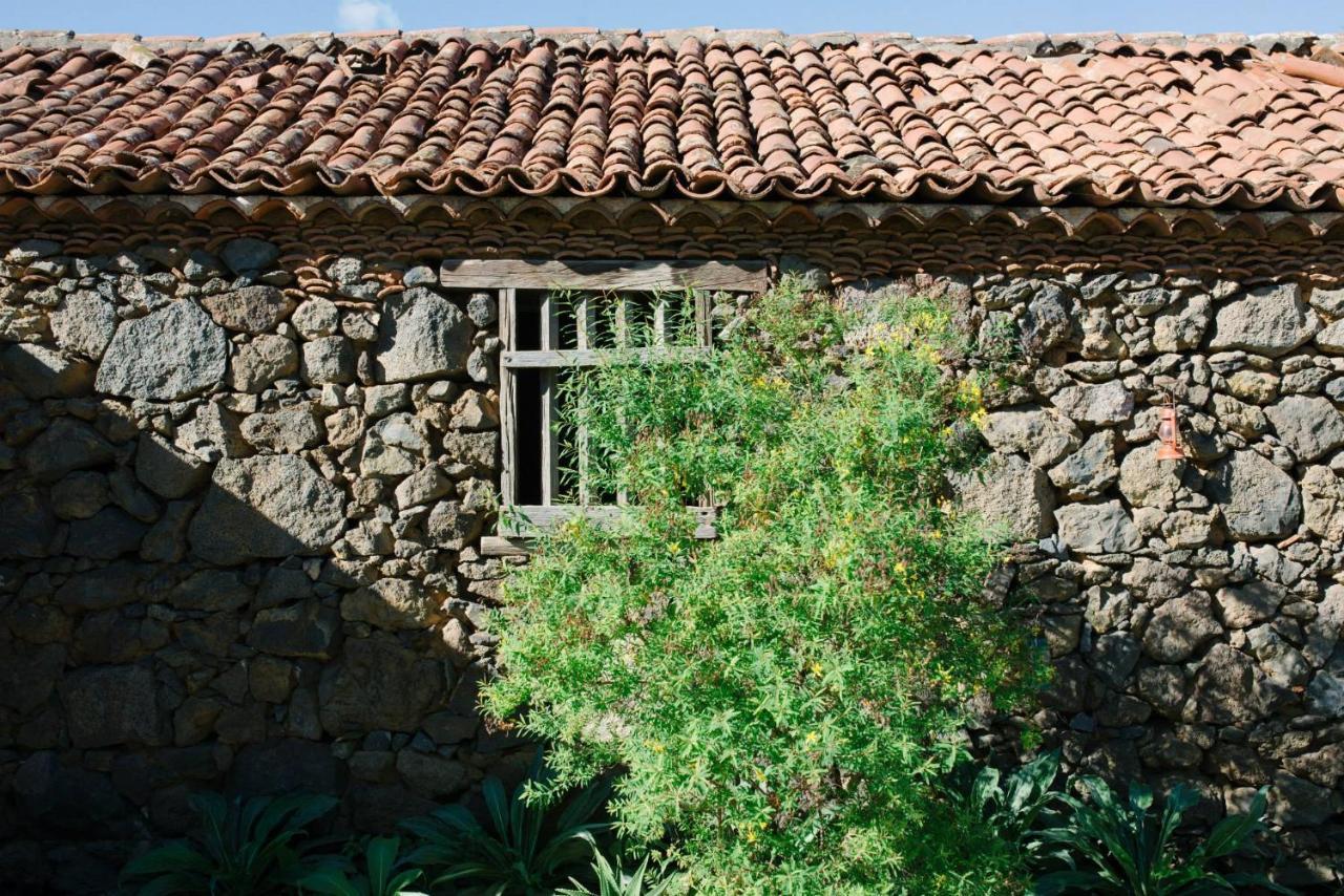 El Patio * Los Realejos