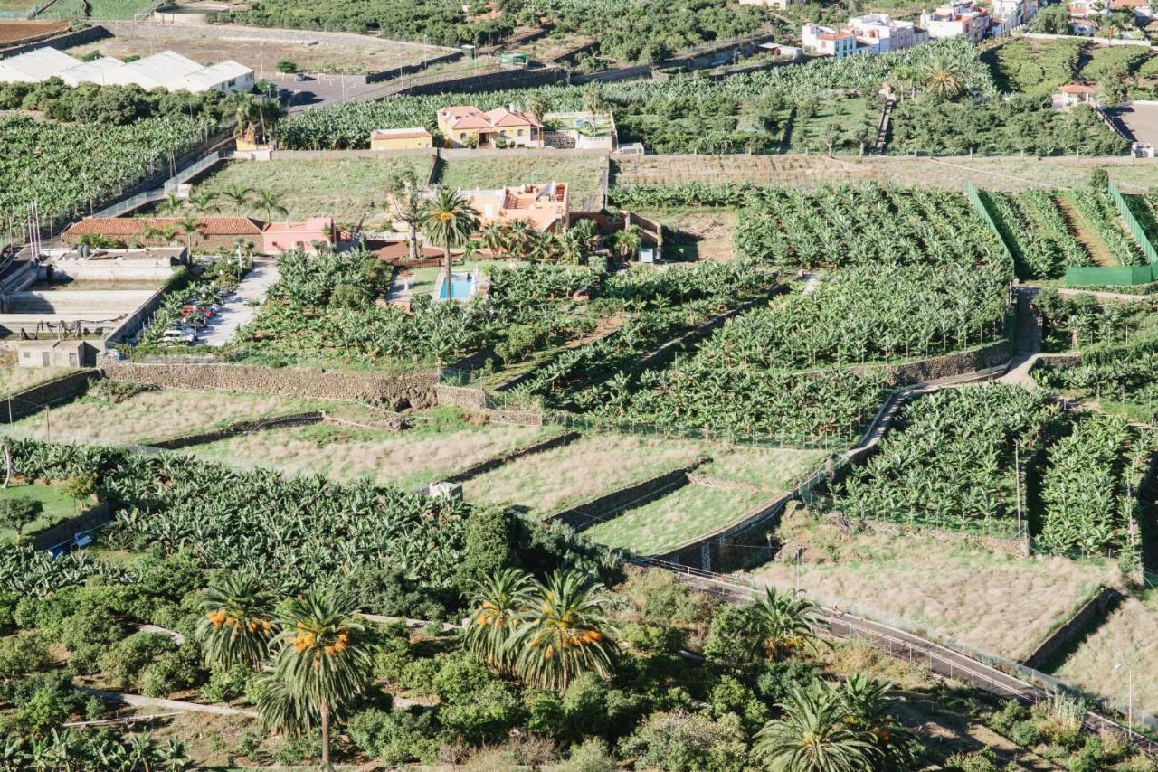 El Patio Los Realejos